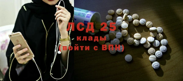 хмурый Аркадак