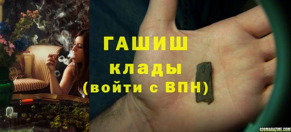 хмурый Аркадак