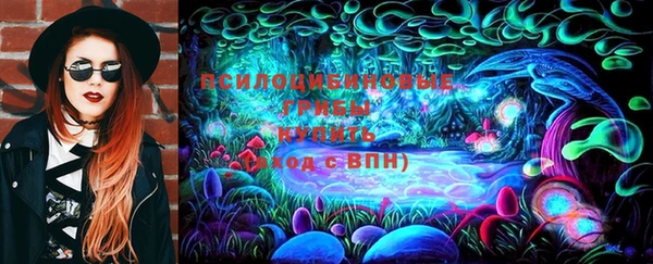 хмурый Аркадак