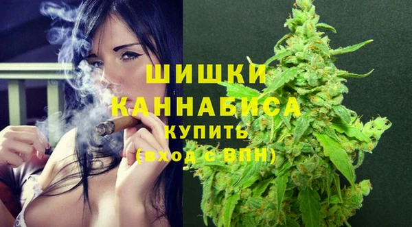 хмурый Аркадак