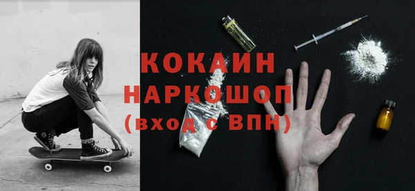 хмурый Аркадак