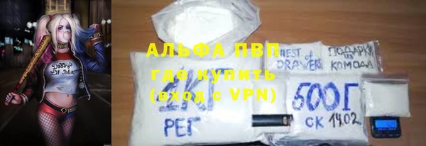 хмурый Аркадак