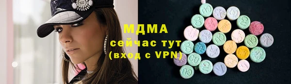 хмурый Аркадак