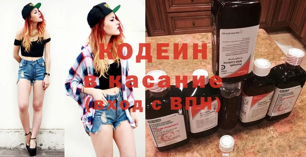 хмурый Аркадак