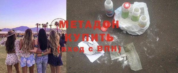 хмурый Аркадак